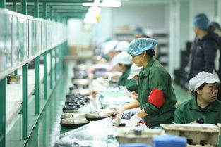 拼多多賦能“拼工廠”，深圳試點(diǎn)透明化生產(chǎn)，麥秸畫傳統(tǒng)工藝觸網(wǎng)新生